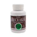 ГРИБ  «ВЕСЕЛКА»